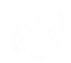 NetWing - Innovative IT Solutions Company Logo